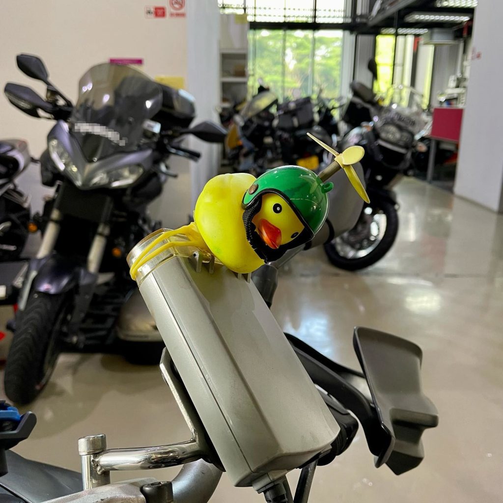 20220820 TRAXX - Yellow Duckie - 01